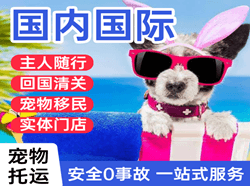 两江机场货运国际宠物托运 【国
